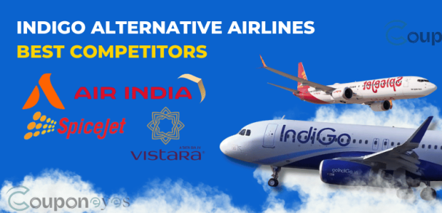 Indigo Alternative Airlines